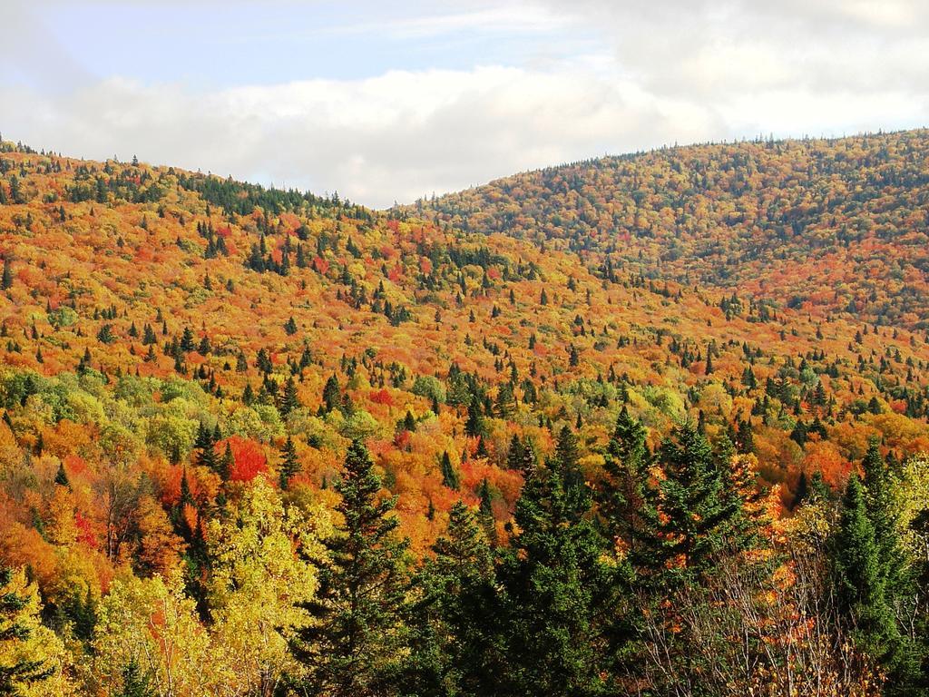 Gite Aventures Quebec Sainte Brigitte de Laval Екстер'єр фото