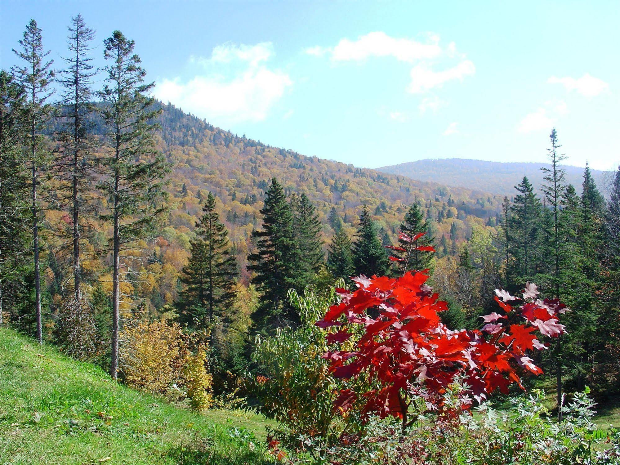 Gite Aventures Quebec Sainte Brigitte de Laval Екстер'єр фото